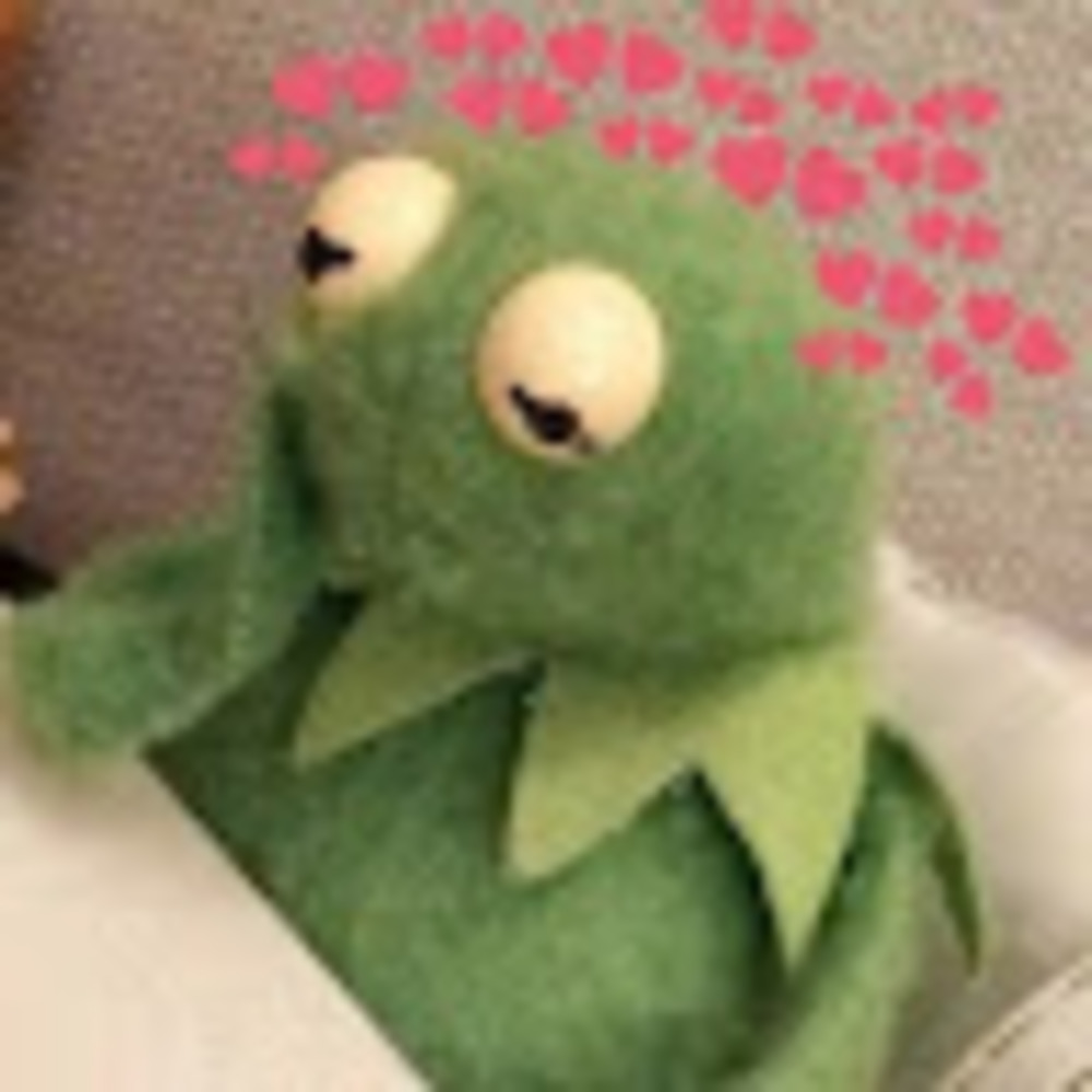 Meet your Posher, Lena